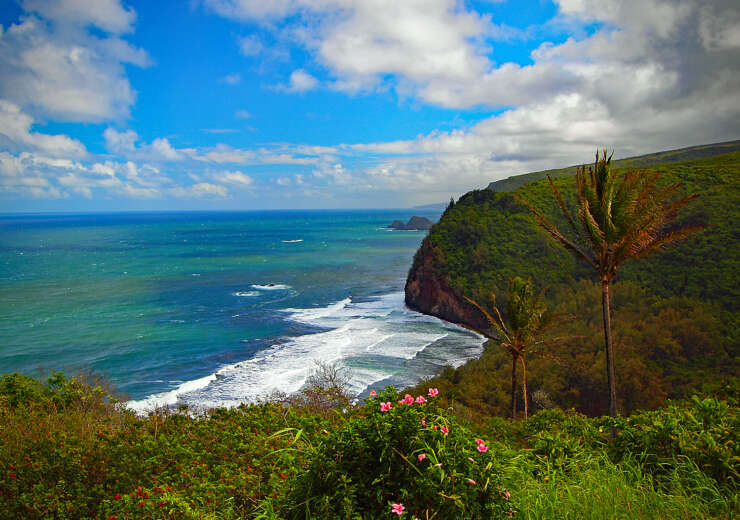 Pololu Valley Lookout Hawai'i