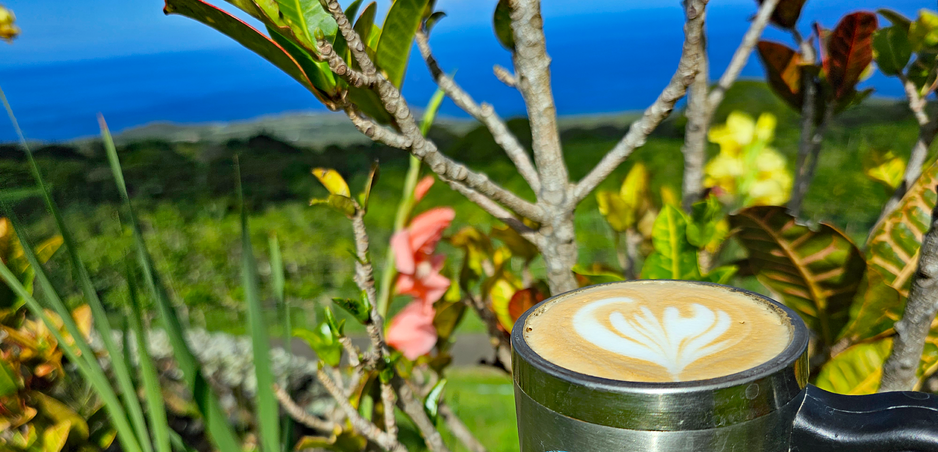 Ocean View with Coffee in the Foreground
