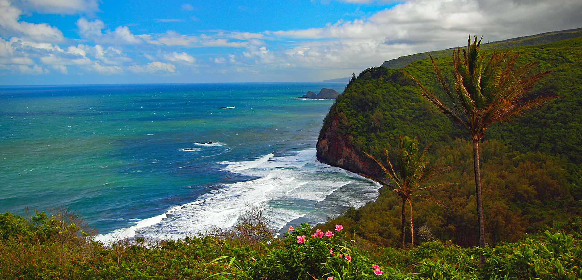 Pololu Valley Lookout Hawai'i