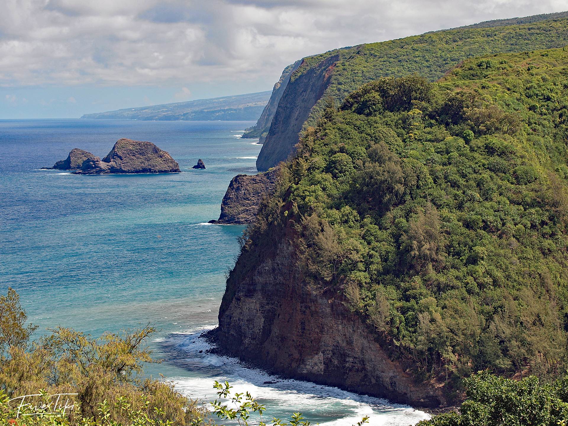 Lush Green Mountain Along Shoreline