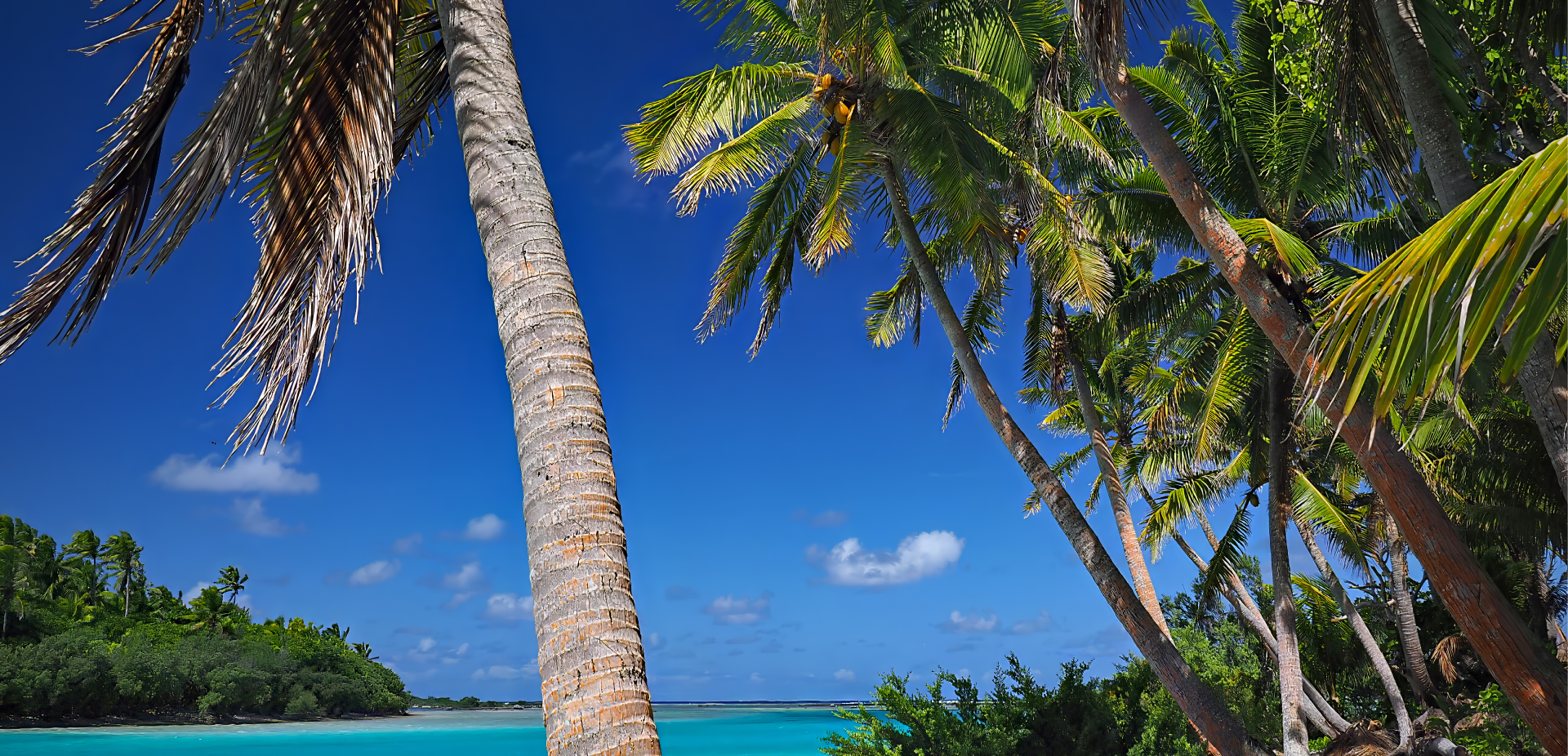 Beach in the Cook Islands